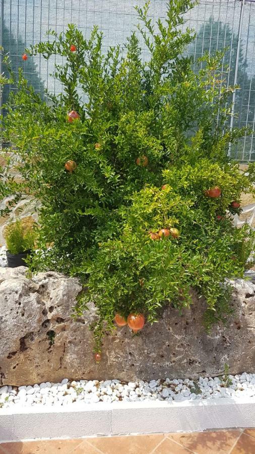 Villa Barone Selva Di Fasano Εξωτερικό φωτογραφία